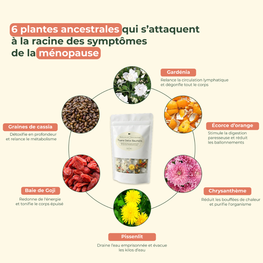 Tisane Détox Ménopause - Baumélis