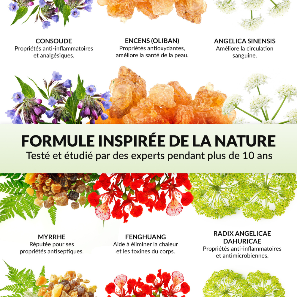 Baumélis baume miracle, formule inspirée de la nature, ingrédients botaniques, consoude, encens oliban, angélica sinensis, myrrhe, fenghuang, radix angelicae dahuricae, soin naturel, visuel ingrédients